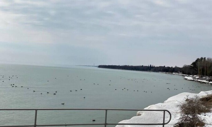 Northumberland County Apartment | Lakeside Breezenn