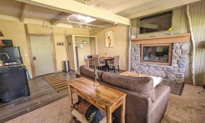 Hill City Apartment | Lakeside Studio with Fireplace & Beautiful View!