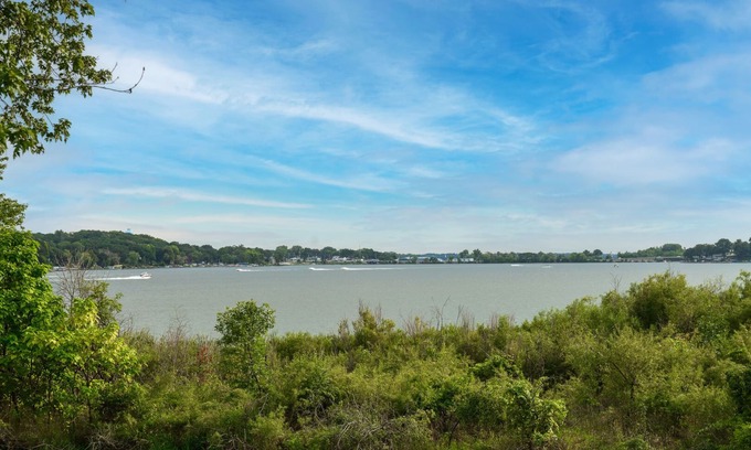 Spring Grove House | Lakeview Heaven Luxury Home Tiki Bar