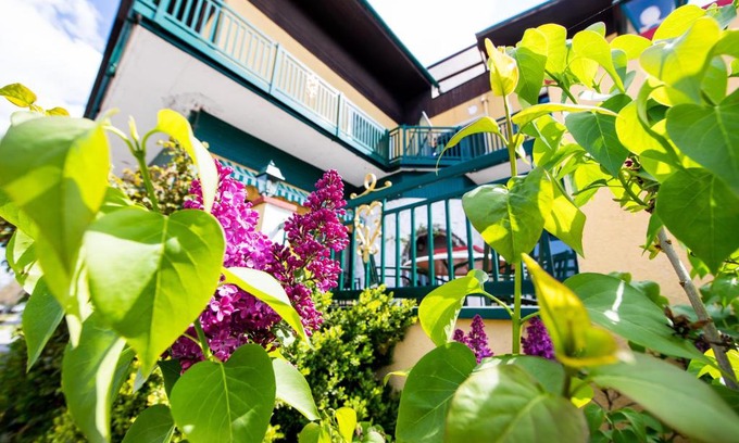 Podersdorf am See Hotel | Landgasthof zur Goldenen Traube