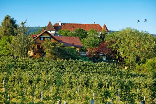 Stubenberg House | Landhaus GRETE