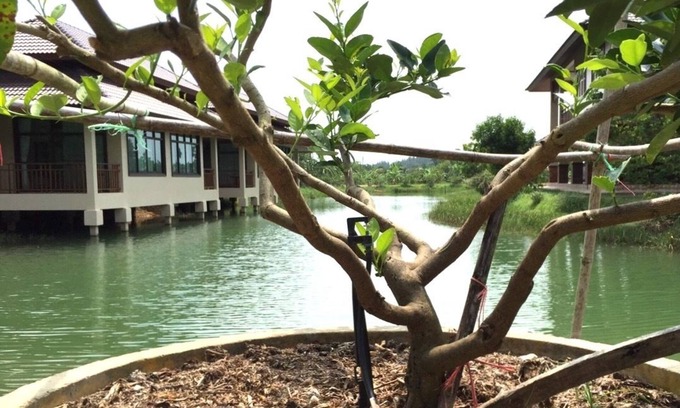 Ban Na Faek Hotel | Lantala Residence