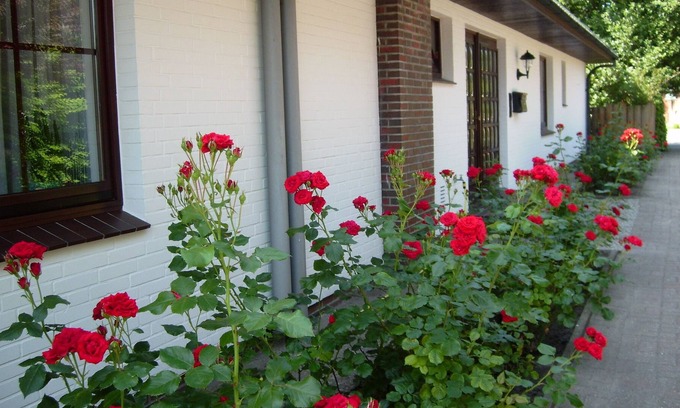 Stinteck Apartment | Large apartment in nearby dike for 4 people with swimming pool in the house.