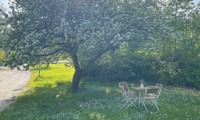Ronninge Villa | Large charming house with calm and green surroundings