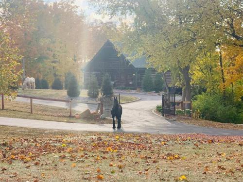 Loveland House | Large Log Cabin Chalet w/Hot Tub - Horses & Lake!