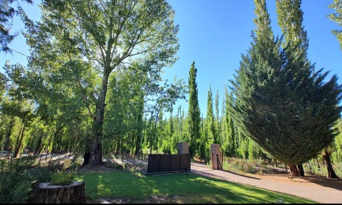 Uspallata House | Las margaritas