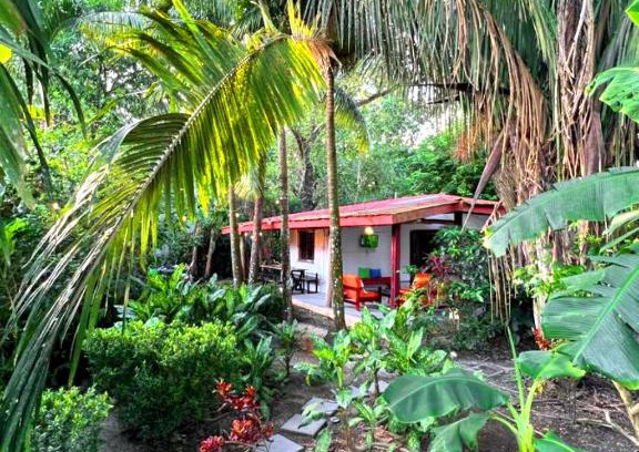 Cabuya Apartment | Las Plumas Jardin de Cabuya