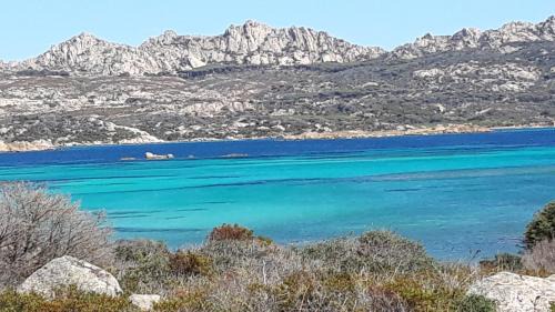 La Maddalena Bed & Breakfast | L’asfodelo