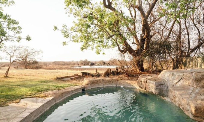 Madikwe Game Reserve Cabin | Last Word Madikwe