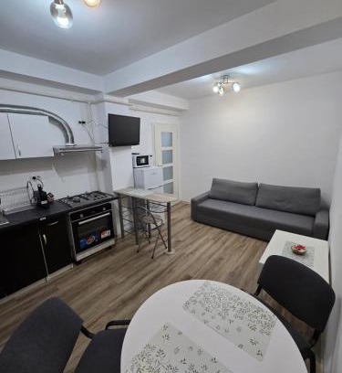 Cocani Crevedia Apartment | Latin studio