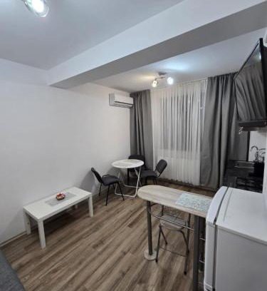 Cocani Crevedia Apartment | Latin Studio