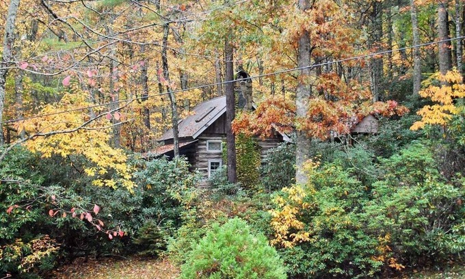 Fleetwood Cabin | Laurel Mtn Cabin - Perfect for a Relaxing Getaway! Hot tub & community river & lake access