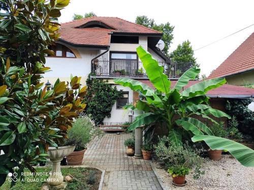 Harkany Apartment | Lavendel Apartman