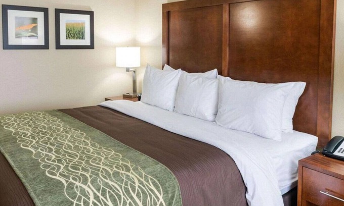 Rochester House | Lavish King Experience! Indoor Pool W/ Hot Tub
