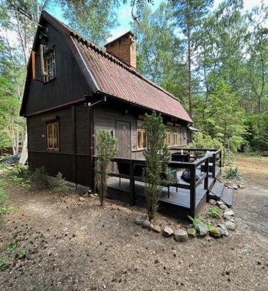Radzymin House | Leśna Chata Arciechów