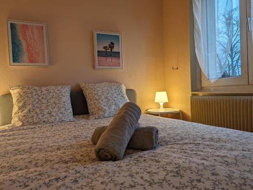 Mulhouse Apartment | Le Bâlois - appartement 2 chambres, salon, cuisine équipée, parking et wifi gratuit