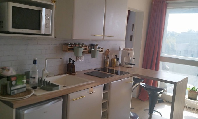 Montauban Apartment | Le Balcon d'Ingres
