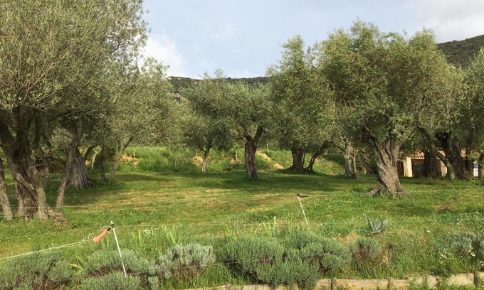 Cucugnan Other | Le Camping de Cucugnan