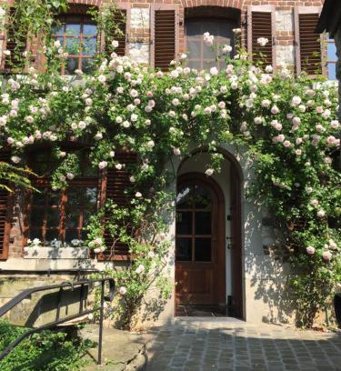Wanze House | Le Chénia