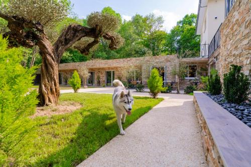 Saint-Prix Bed & Breakfast | Le Chanelya - Havre de Paix au Coeur de la Forêt