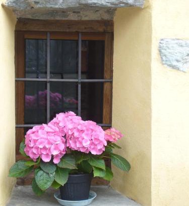 Vignil House | Le Chaton Fait Ronron