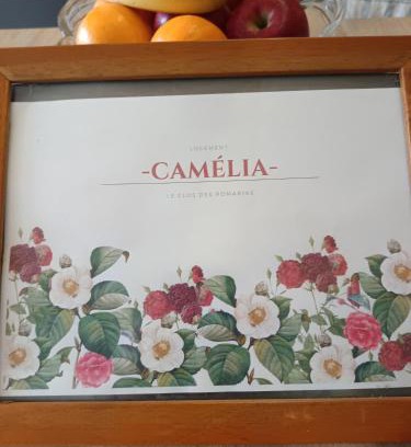 Belmontet House | Le Clos des Romarins Gîte CAMELIA
