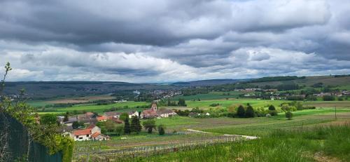 Dormans House | Le Coq de Champagne