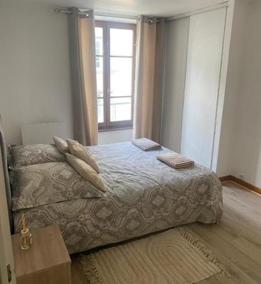 Clermont-Ferrand Apartment | Le Cosy Montferrandais