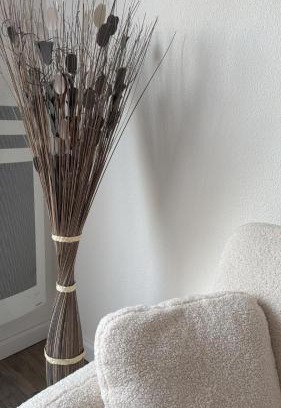 Castelginest Apartment | Le cosy Parking gratuit piscine terrain de tennis