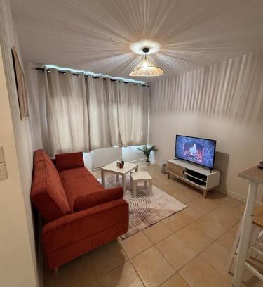 Orleans Apartment | Le joli petit Bannier T2 Neuf , Fibre