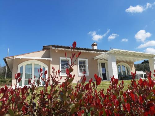 San Miniato Bed & Breakfast | LE MAMMOLE