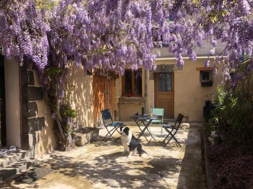 Vertaizon House | Le neuf