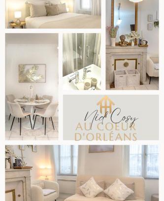 Saint-Vincent Apartment | Le Nid Cosy -Au Cœur d'Orléans