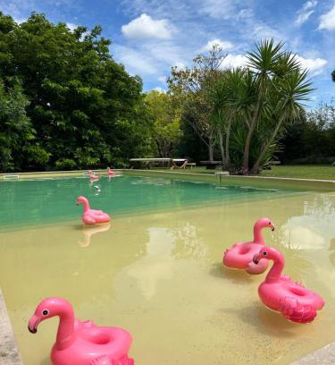 Aimargues Bed & Breakfast | Le Patio, chambres d hôtes pour adultes en Camargue, possibilité de naturisme à la piscine,