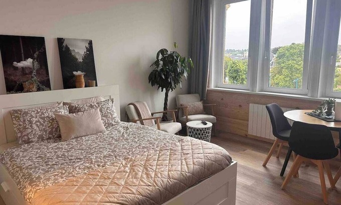 Sedan Apartment | Le Petit Port, quiet apartment 5 minutes from the town center. Pets welcome!