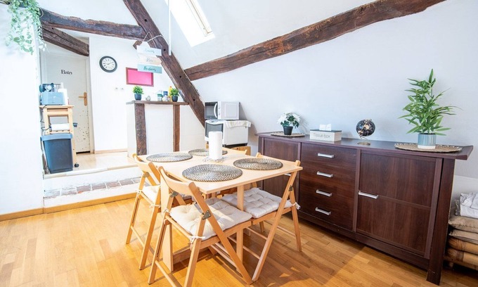 Amboise Apartment | Le petit soleil - Le T2 Climatisé