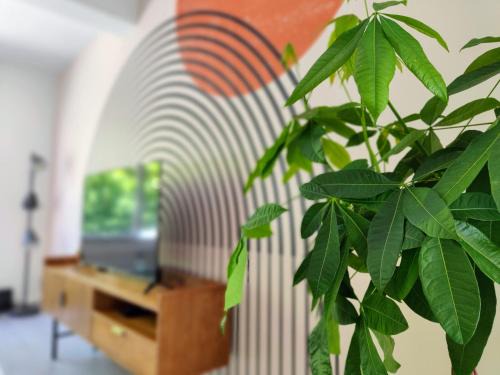 Malo-les-Bains Apartment | Le Rainbow - Grand studio avec terrasse