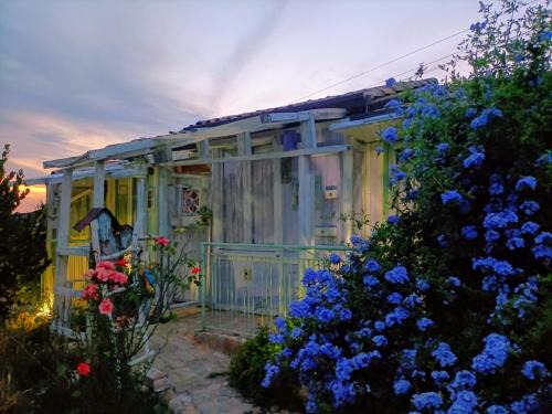 Civitanova Marche House | Le Rondini