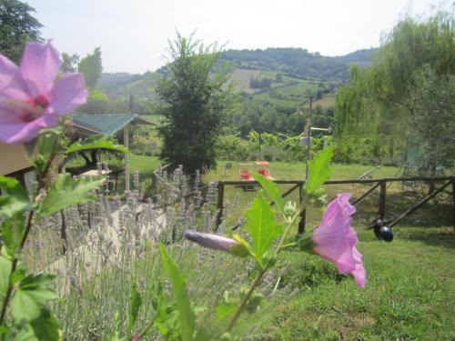 Monteleone House | Le Spighe Agriturismo