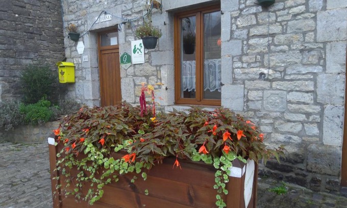 Mazee House | Le ternia