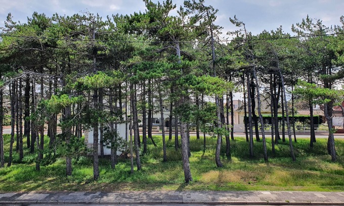 Le Touquet-Paris-Plage Apartment | Le Touquet, Ap 67 m2, 2 Chambres, Secteur Quentovic, 5 min Plage et Centre