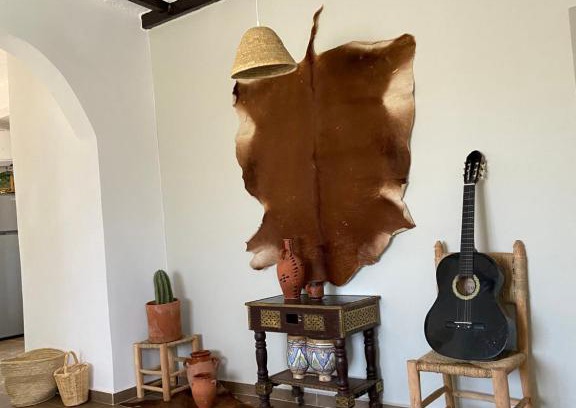 Ain Chkef House | Le village des oliviers