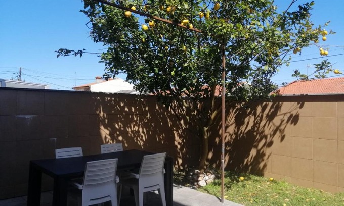 Azurara Apartment | Lemon Tree Apartment