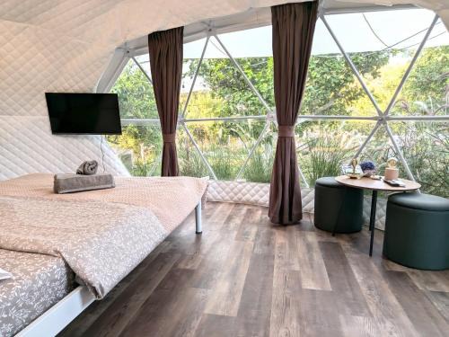 Troizinia Other | Lemon Tree Dome House