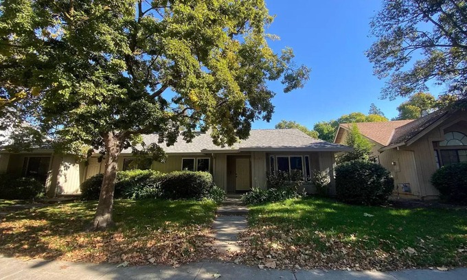 Davis House | Lemontree House: Chic Davis 3BR Gem near UC Davis
