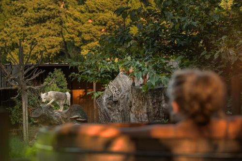 Saint-Andiol Cabin | Les Animaux et Marino