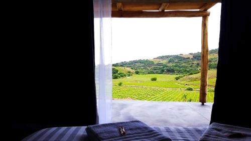 Port-Vendres Bed & Breakfast | Les cabanons de Mémé Jeannette