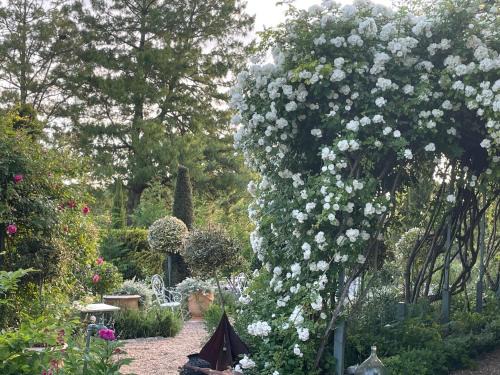 Huismes Bed & Breakfast | Les Jardins Haute Couture