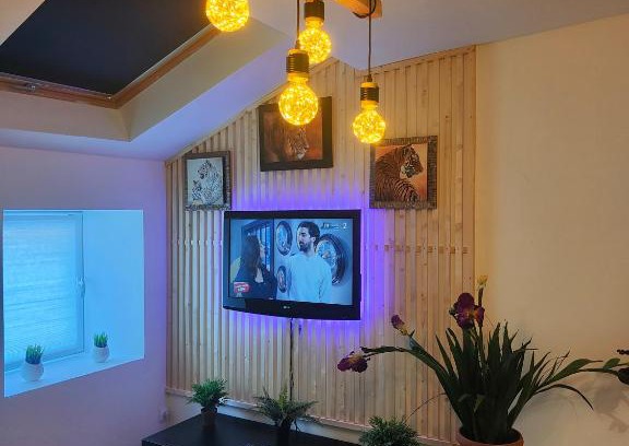 Provins Apartment | Les Lofts De Provins: Apt 1
