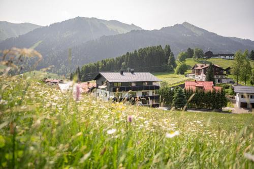 Riezlern Apartment | Lichterberg